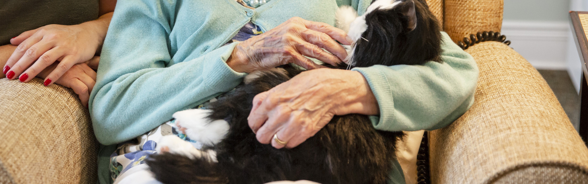 Robotic pets bring comfort to dementia suffers in scheme by Conservative-led East Sussex