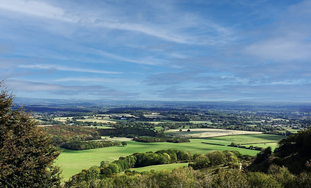 Services to be protected across Conservative-run East Sussex in new budget proposals