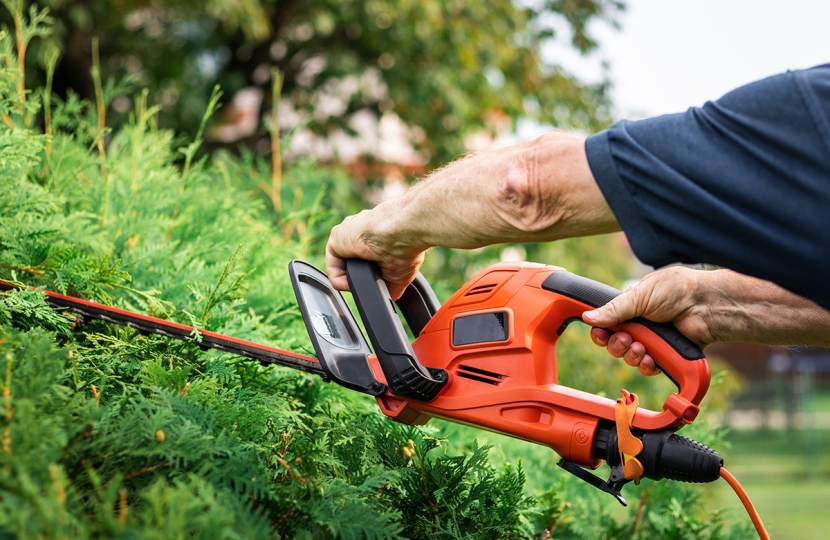 cut hedges