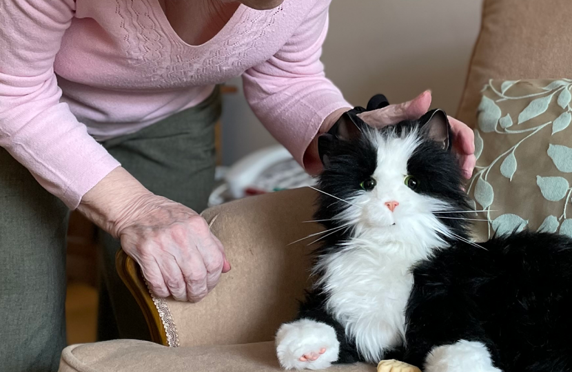 Robotic pets bring comfort to dementia suffers in scheme by Conservative-led East Sussex