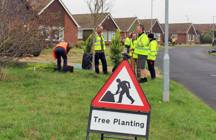 Tree funding boost to Conservative-led council’s environmental efforts