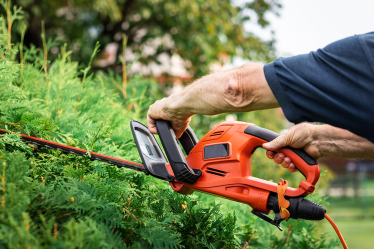 cut hedges