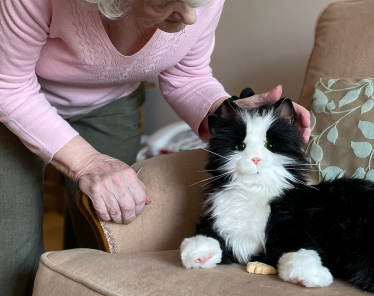 Robotic pets bring comfort to dementia suffers in scheme by Conservative-led East Sussex