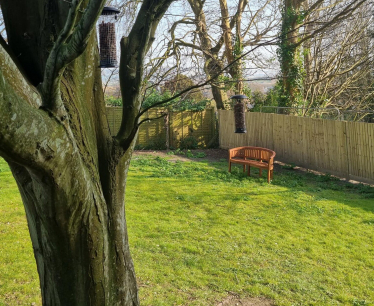 Wild garden and nesting boxes as part of re-wilding project at East Sussex County Hall in Lewes